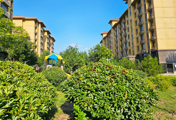 ���Ч��ͼƬ5