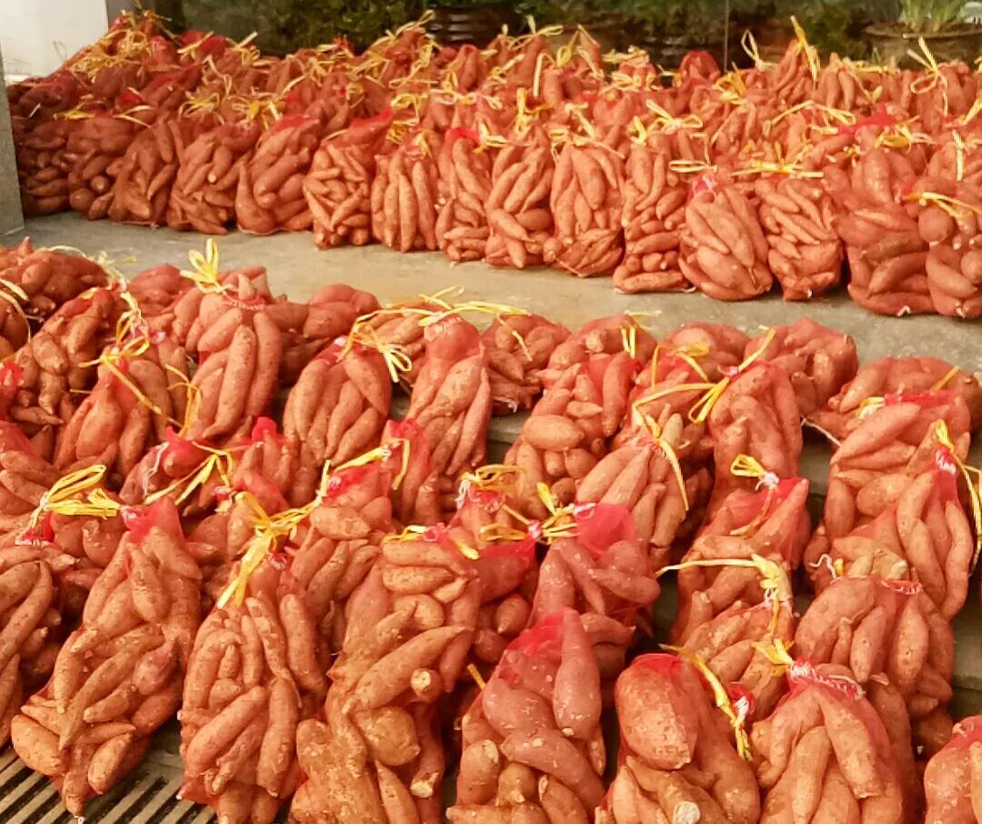 8463�����ʹ�����