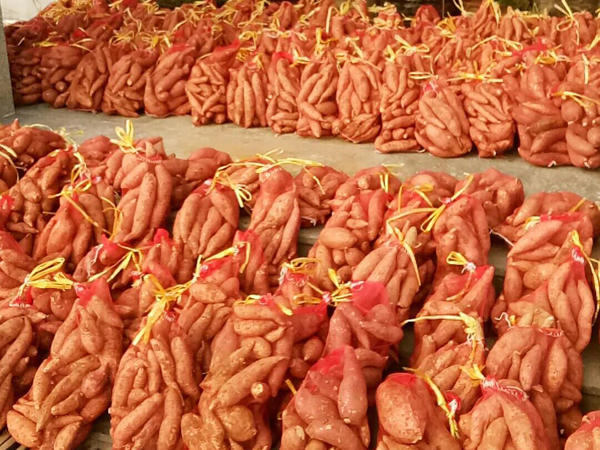 ���ſ�չ����ΪȺ�ڰ�ʵ�£�������������ʵ�����ж��������幺�˶�